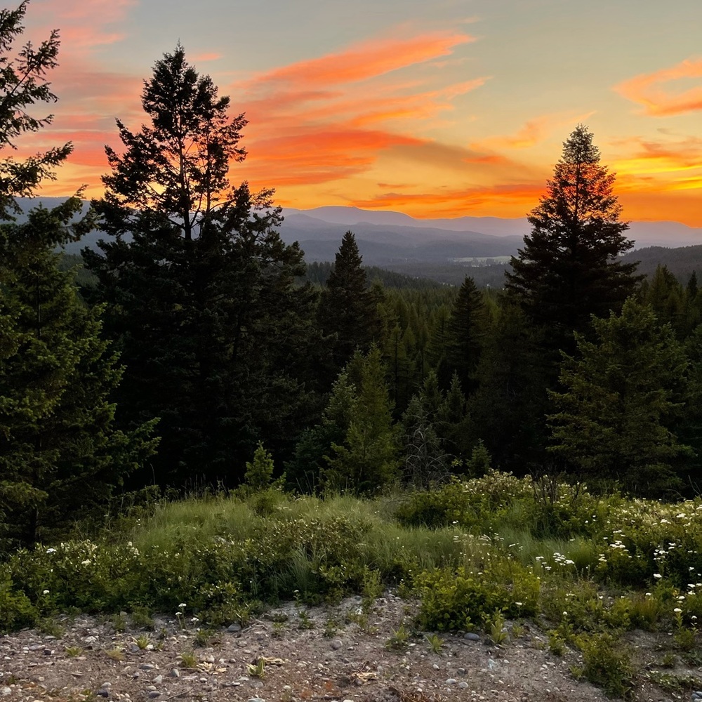 Meet your Posher, Joanie